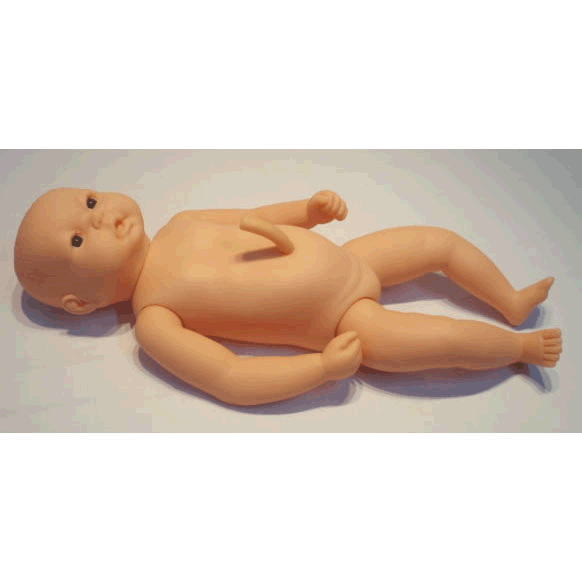 高級出生嬰兒附臍帶模型 高級出生嬰兒附臍帶模型