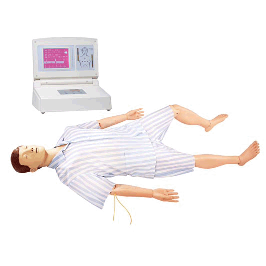 BLS800 多功能急救護理訓練模擬人 BLS800 多功能急救護理訓練模擬人