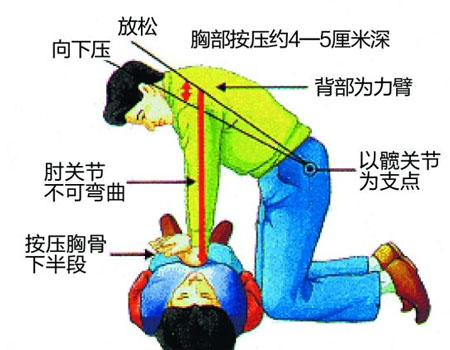 心肺復蘇模擬人,心肺復蘇訓練人體模型 心肺復蘇模擬人,心肺復蘇訓練人體模型